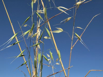 Conigli: 4 consigli per creare l'ambiente ideale per loro