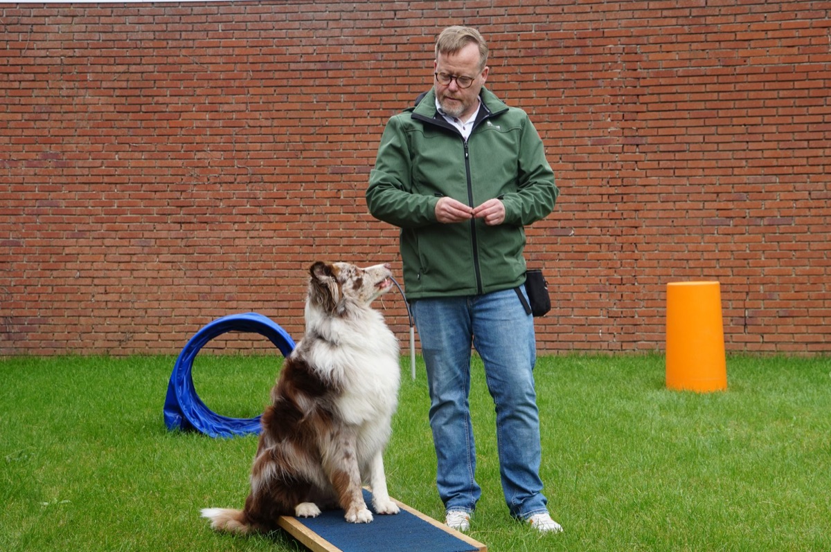 FAQ over hondentraining en basiscommando